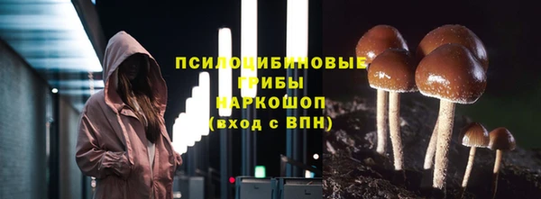 стафф Нягань