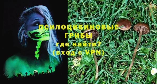 ECSTASY Няндома
