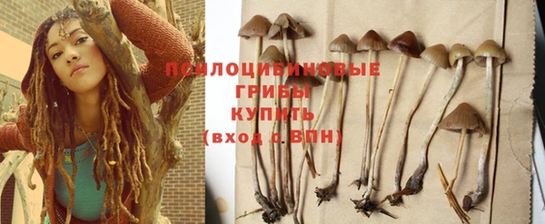 ECSTASY Няндома