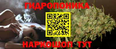 дмт Камышлов